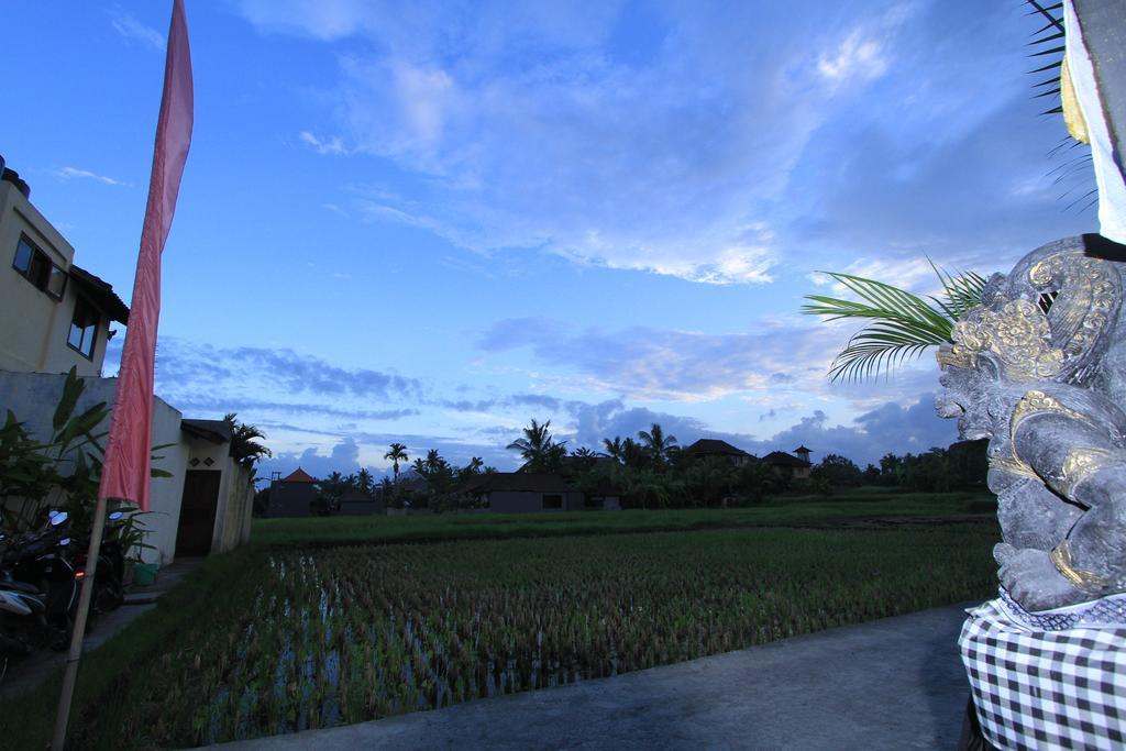 Pondok Buda Merta Ubud  Ngoại thất bức ảnh