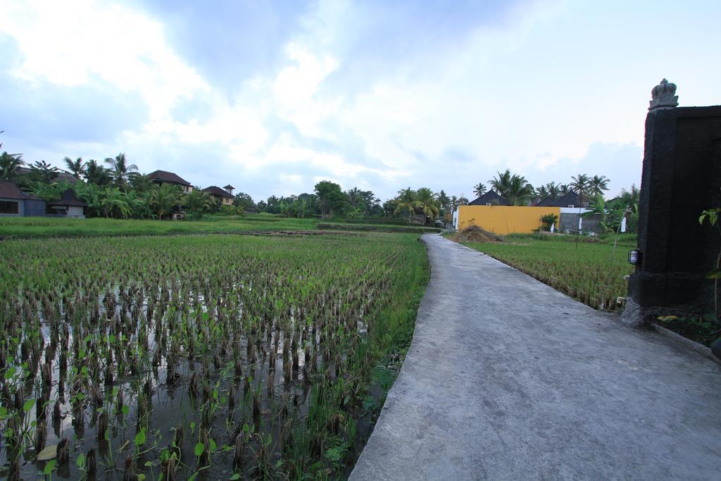 Pondok Buda Merta Ubud  Ngoại thất bức ảnh
